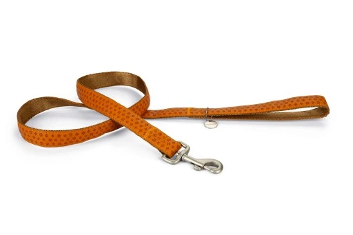 Beeztees Hondenriem Mac Leather 120cm X 25mm Bruin 1 Beeztees Hondenriem Mac Leather 120cm X 25mm Bruin