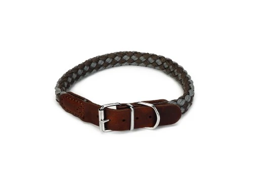 Beeztees Halsband Voor Hond Korda Nylon Grijs / Lichtgrijs 55x2 Cm 1 Beeztees Halsband Voor Hond Korda Nylon Grijs / Lichtgrijs 55x2 Cm