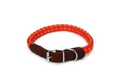 Beeztees Halsband Voor Hond Korda Nylon Rood / Oranje 55x2 Cm