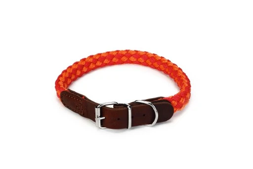 Beeztees Halsband Voor Hond Korda Nylon Rood / Oranje 55x2 Cm 1 Beeztees Halsband Voor Hond Korda Nylon Rood / Oranje 55x2 Cm