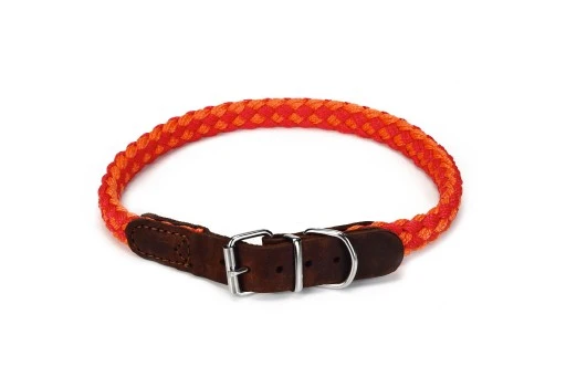 Beeztees Halsband Voor Hond Korda Nylon Rood / Oranje 65x2 Cm 1 Beeztees Halsband Voor Hond Korda Nylon Rood / Oranje 65x2 Cm