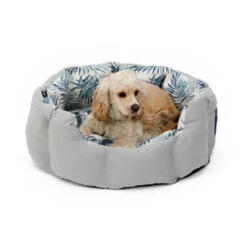 Hondenmand Beach Leaves