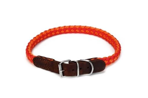Beeztees Halsband Voor Hond Korda Nylon Rood / Oranje 65x2 Cm 2 Beeztees Halsband Voor Hond Korda Nylon Rood / Oranje 65x2 Cm - Afbeelding 2