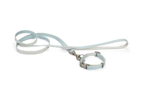 Beeztees Puppy Halsband & Lijn - Blauw (20-30 Cm) 2 Beeztees Puppy Halsband & Lijn - Blauw (20-30 Cm) - Afbeelding 2