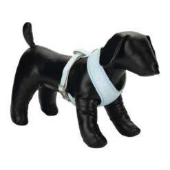 Beeztees Puppy Tuig - Blauw - Maat L -Huisdierproducten beeztees puppy tuig blauw maat l 63824 0300 none