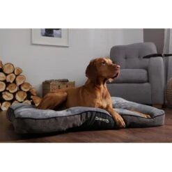 Scruffs Chester Mattress - L - Grafiet -Huisdierproducten file 114