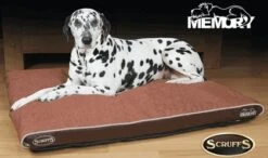 Scruffs Hilton Orthopaedic Medium Hondenkussen Bruin 10 Scruffs Hilton Orthopaedic Medium Hondenkussen Bruin -Huisdierproducten file 132