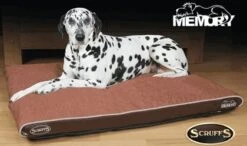 Scruffs Hilton Orthopaedic Large Hondenkussen Bruin 8 Scruffs Hilton Orthopaedic Large Hondenkussen Bruin -Huisdierproducten file 133