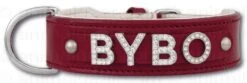 Hondenhalsband Met Naam Medium Red