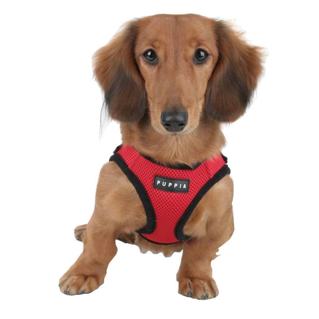 Puppia Soft Harness - XL - Rood 2 Puppia Soft Harness - XL - Rood - Afbeelding 2