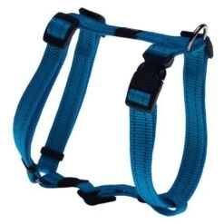 Rogz For Dogs Snake Hondentuig Verstelbaar Turquoise 52 X 1,6 Cm 5 Rogz For Dogs Snake Hondentuig Verstelbaar Turquoise 52 X 1,6 Cm -Huisdierproducten file 209