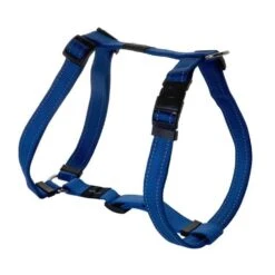 Rogz For Dogs Nitelife Hondentuig Verstelbaar Blauw 36 X 1,1 Cm 5 Rogz For Dogs Nitelife Hondentuig Verstelbaar Blauw 36 X 1,1 Cm -Huisdierproducten file 224