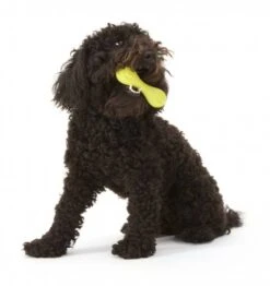 Zogoflex Hurley Dog Bone - Small - Lime