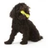 Zogoflex Hurley Dog Bone - Large - Lime
