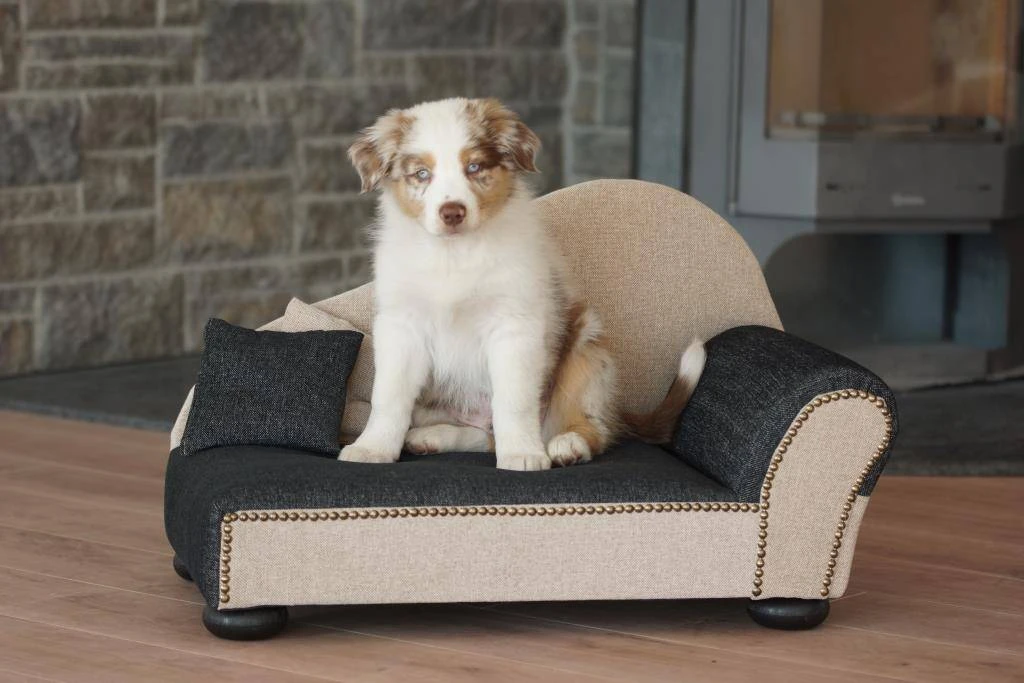 Hondensofa Leroy 2 Hondensofa Leroy - Afbeelding 2