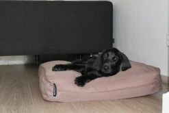 Hondenbed Bench Taupe 68 X 62 X 10 Cm