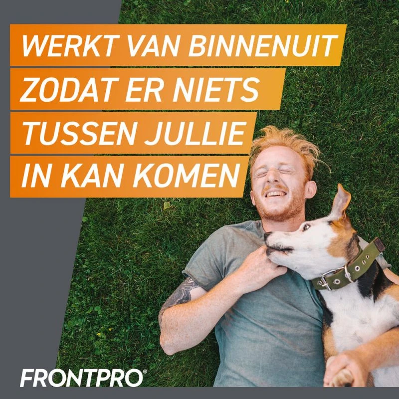 Frontpro - Kauwtabletten Tegen Vlooien En Teken Voor Honden 7 Frontpro - Kauwtabletten Tegen Vlooien En Teken Voor Honden - Afbeelding 7