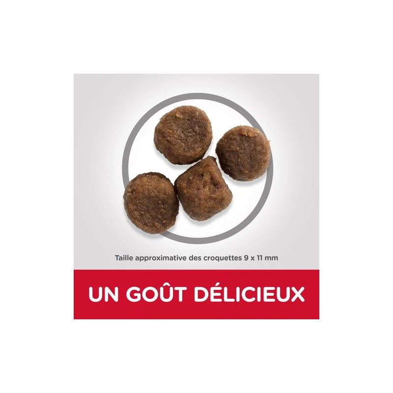 Hill's Science Plan Medium Puppyvoer Met Lam & Rijst 1 Hill's Science Plan Medium Puppyvoer Met Lam & Rijst