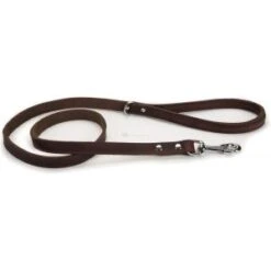 Beeztees Hondenriem Djenga 130cm X 18mm Bruin