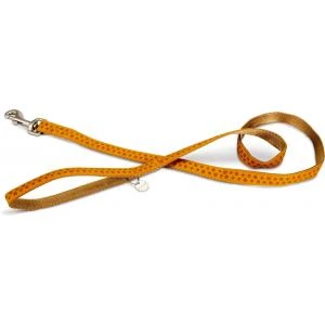 Beeztees Hondenriem Mac Leather 120cm X 20mm Bruin 2 Beeztees Hondenriem Mac Leather 120cm X 20mm Bruin - Afbeelding 2