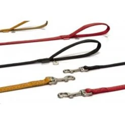 Beeztees Hondenriem Mac Leather 120cm X 25mm Bruin 5 Beeztees Hondenriem Mac Leather 120cm X 25mm Bruin -Huisdierproducten hondenriem mac leather 120cm x 25mm bruin 8712695086666 1 0 300x300 1