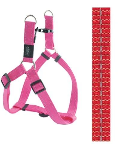 Rogz For Dogs Nitelife Step-in Hondentuig Verstelbaar Oranje 38 X 1,1 Cm 1 Rogz For Dogs Nitelife Step-in Hondentuig Verstelbaar Oranje 38 X 1,1 Cm