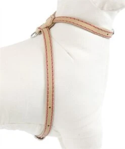 Rosewood Luxury Leather Tuig Voor Hond Puppy