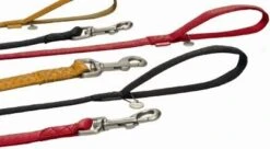 Beeztees Hondenriem Mac Leather 120cm X 15mm Rood 6 Beeztees Hondenriem Mac Leather 120cm X 15mm Rood -Huisdierproducten image 92