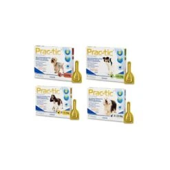 Prac-tic - Tegen Teken En Vlooien Bij Honden