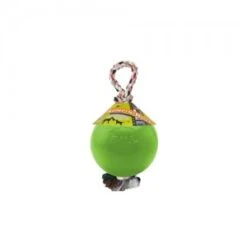 Jolly Romp-n Roll Small (4 Inch) 11 Cm Groen