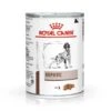 Royal Canin Hepatic Hond - Natvoeding