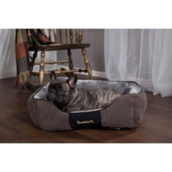 Scruffs Chester Box Bed - Grafiet (grijs) - L