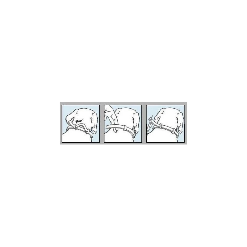 Seresto Hond - Langwerkende Vlooien- En Tekenband 3 Seresto Hond - Langwerkende Vlooien- En Tekenband - Afbeelding 3